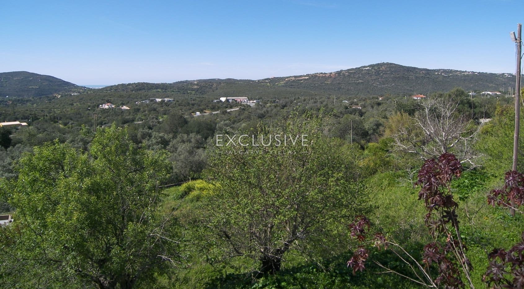Plot in the centre of S. Bras de Alportel for Hotel, in algarve-2