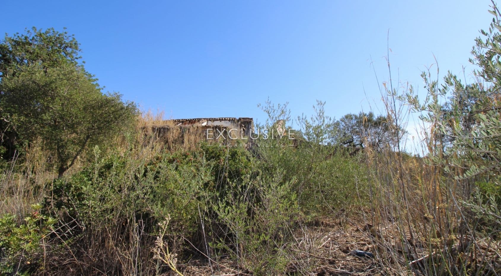 Plot with approved project in Loulé-1