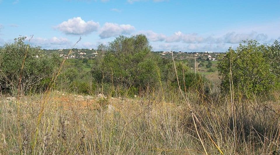 Plot with semi detached ruin near Pera, in Algarve-1