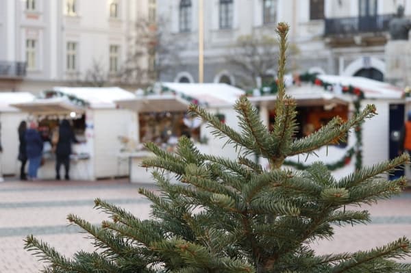 Christmas Markets in the Algarve: Your 2024 Guide to Festive Cheer - by Exclusive Algarve Villas