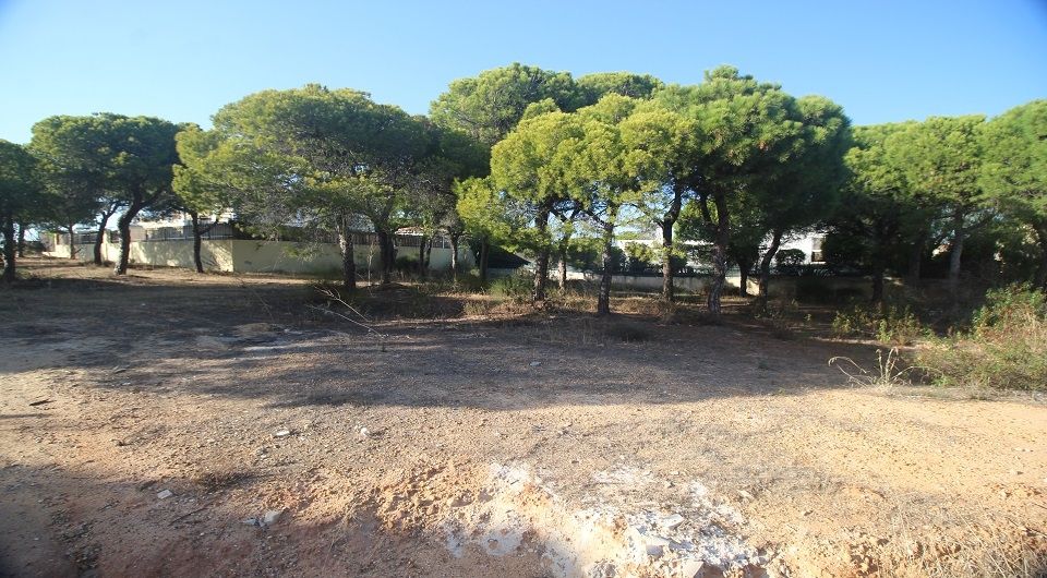 Plot for construction of a villa near Quinta do lago