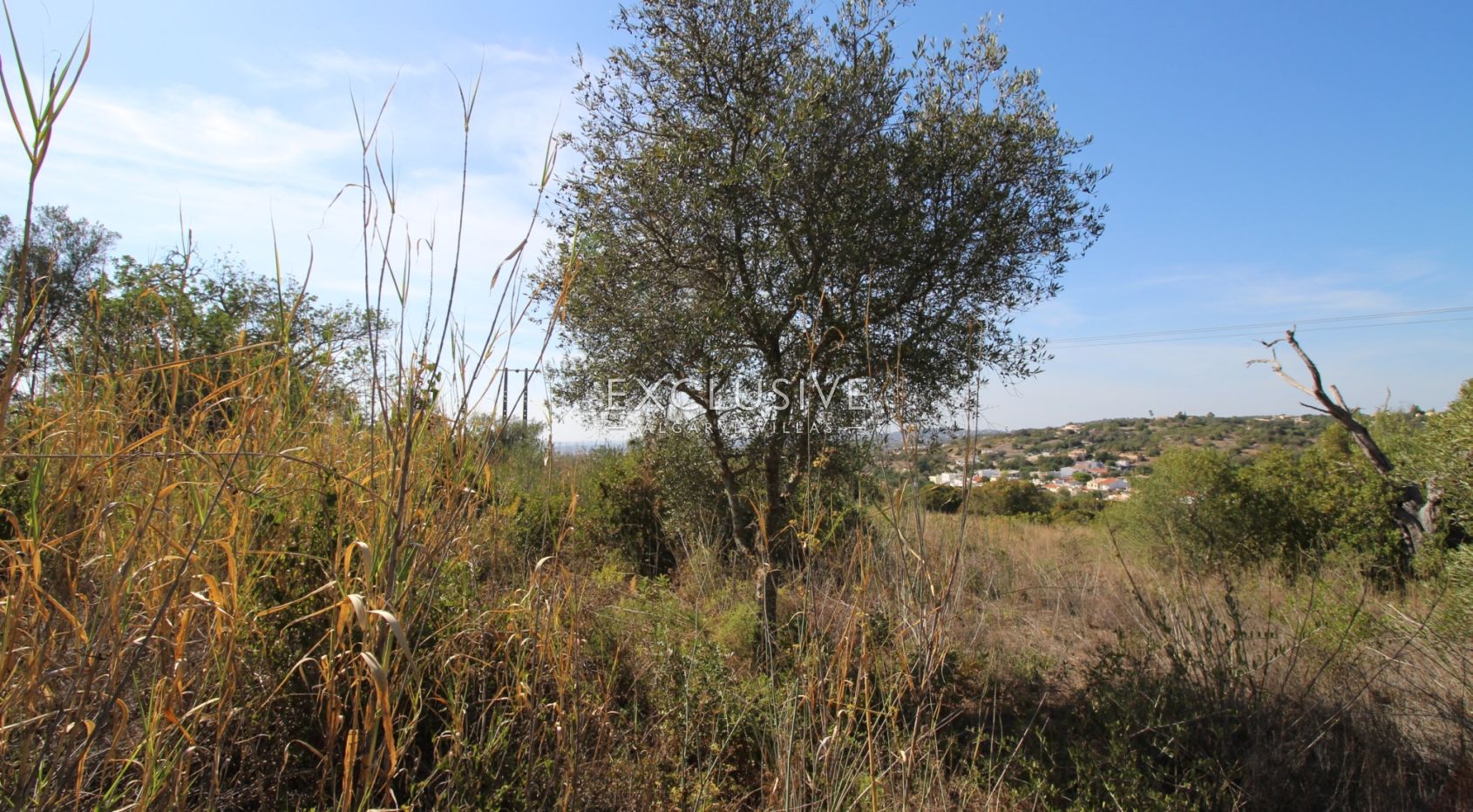 Plot with approved project in Loulé