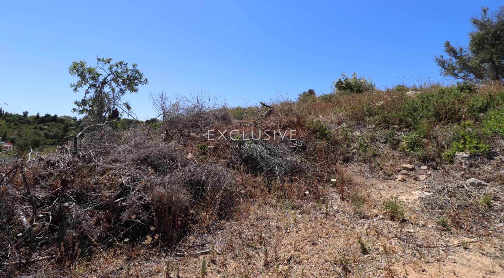 Urban plot for construction of villa near Presa da Moura, Carvoeiro