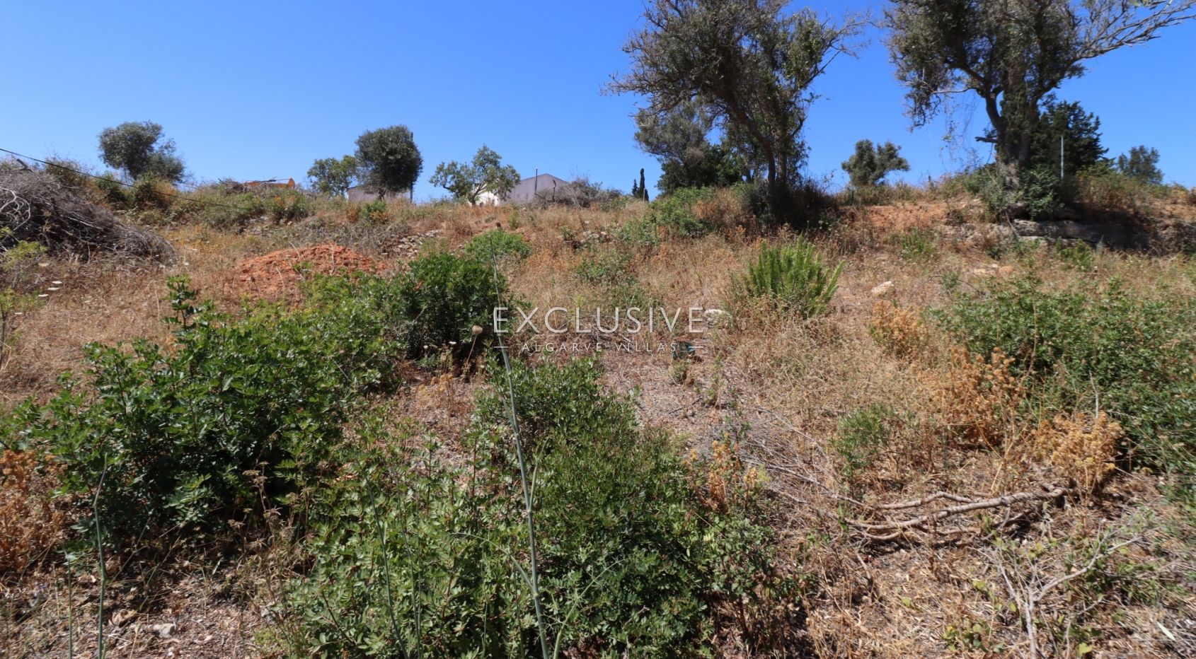 Urban plot for construction of villa near Presa da Moura, Carvoeiro