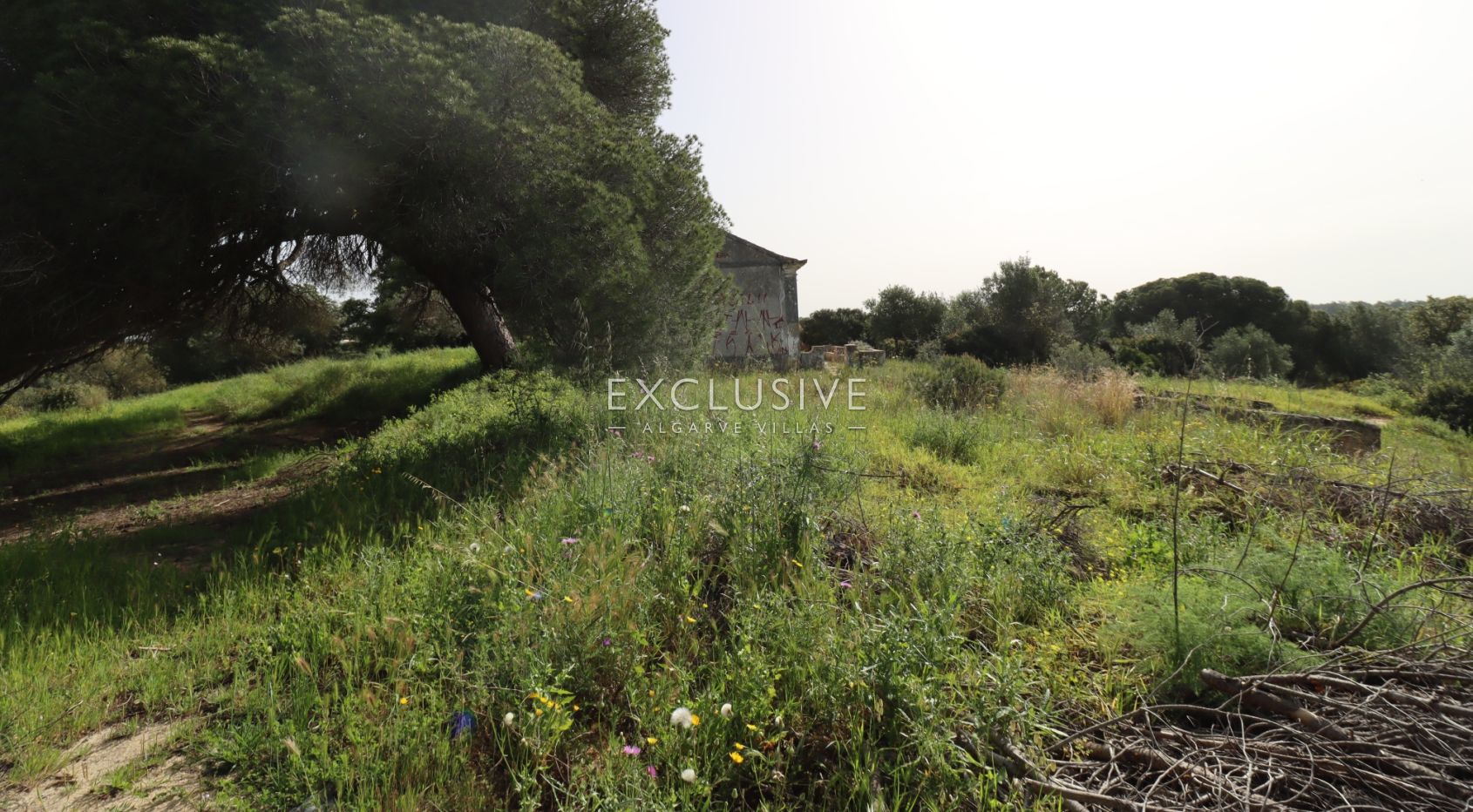 Large plot for construction with approved project, Lagoa, Algarve
