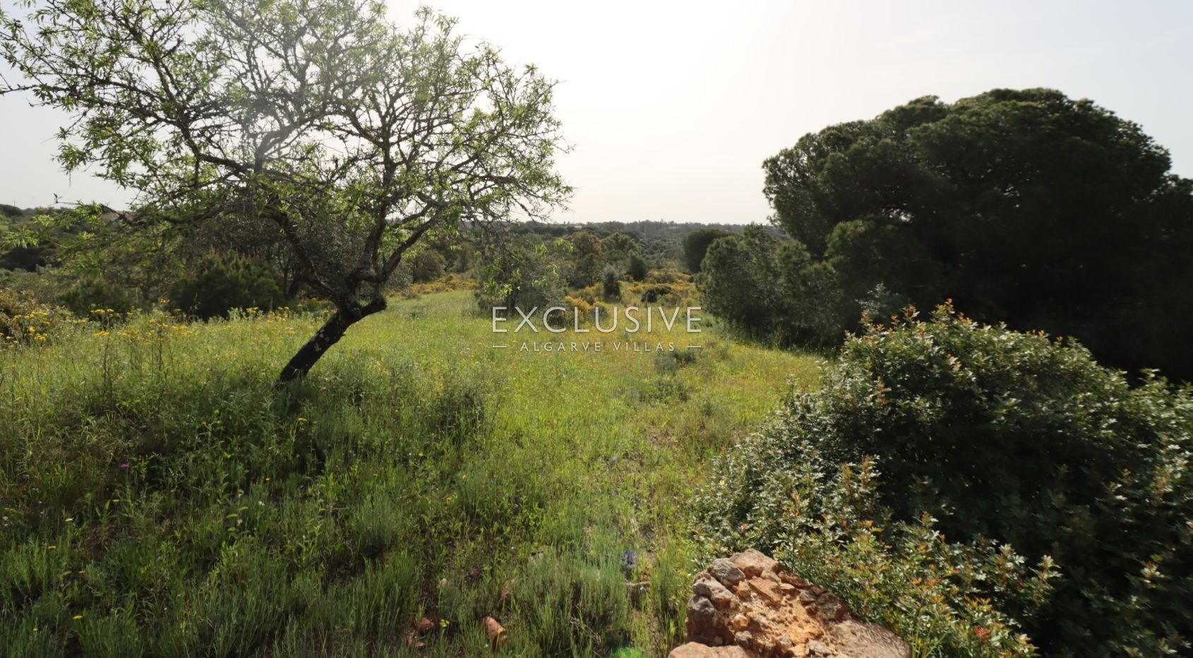 Large plot for construction with approved project, Lagoa, Algarve