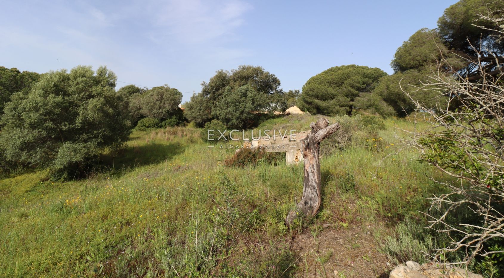 Large plot for construction with approved project, Lagoa, Algarve