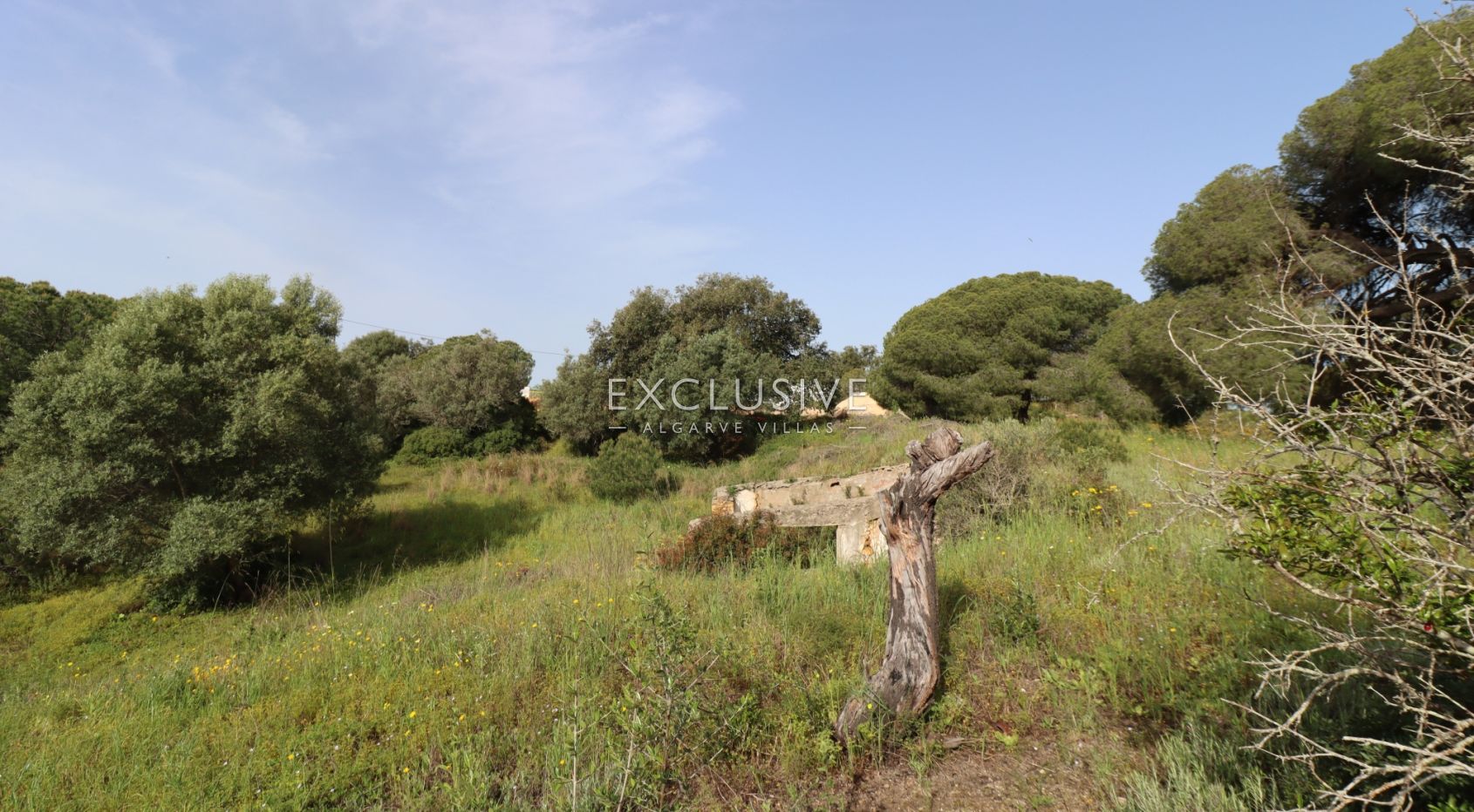 Large plot for construction with approved project, Lagoa, Algarve
