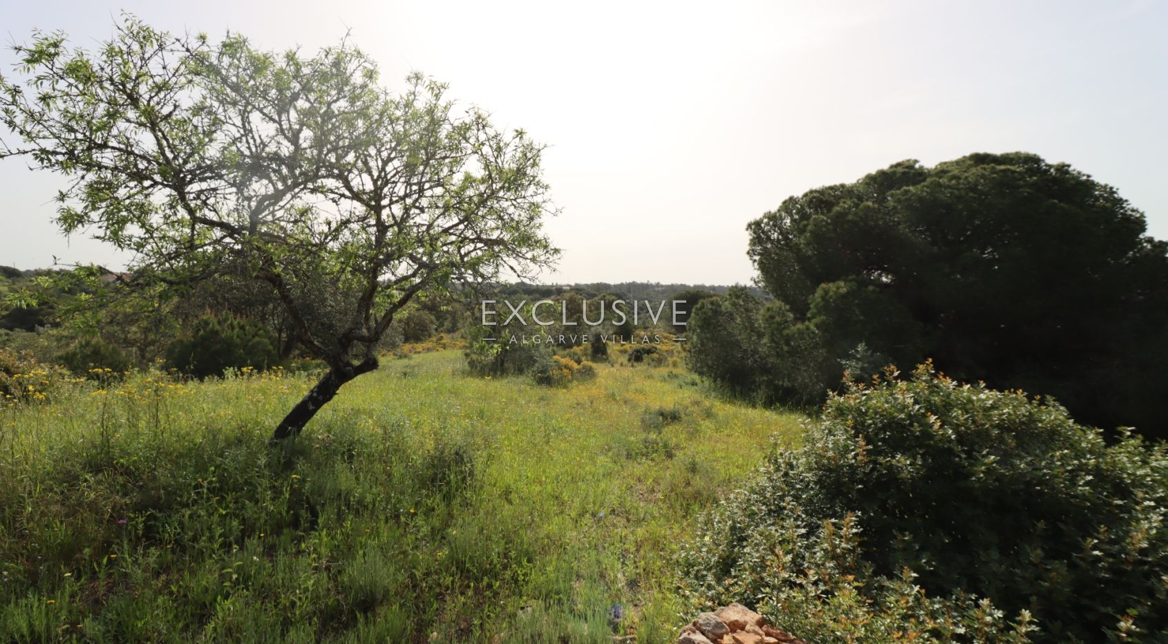 Large plot for construction with approved project, Lagoa, Algarve