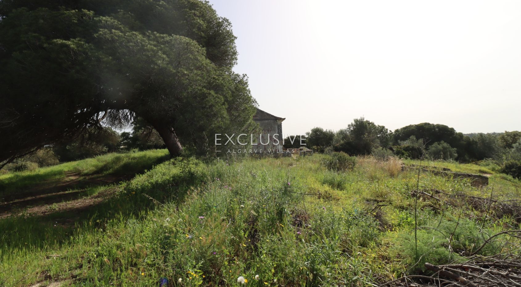 Large plot for construction with approved project, Lagoa, Algarve