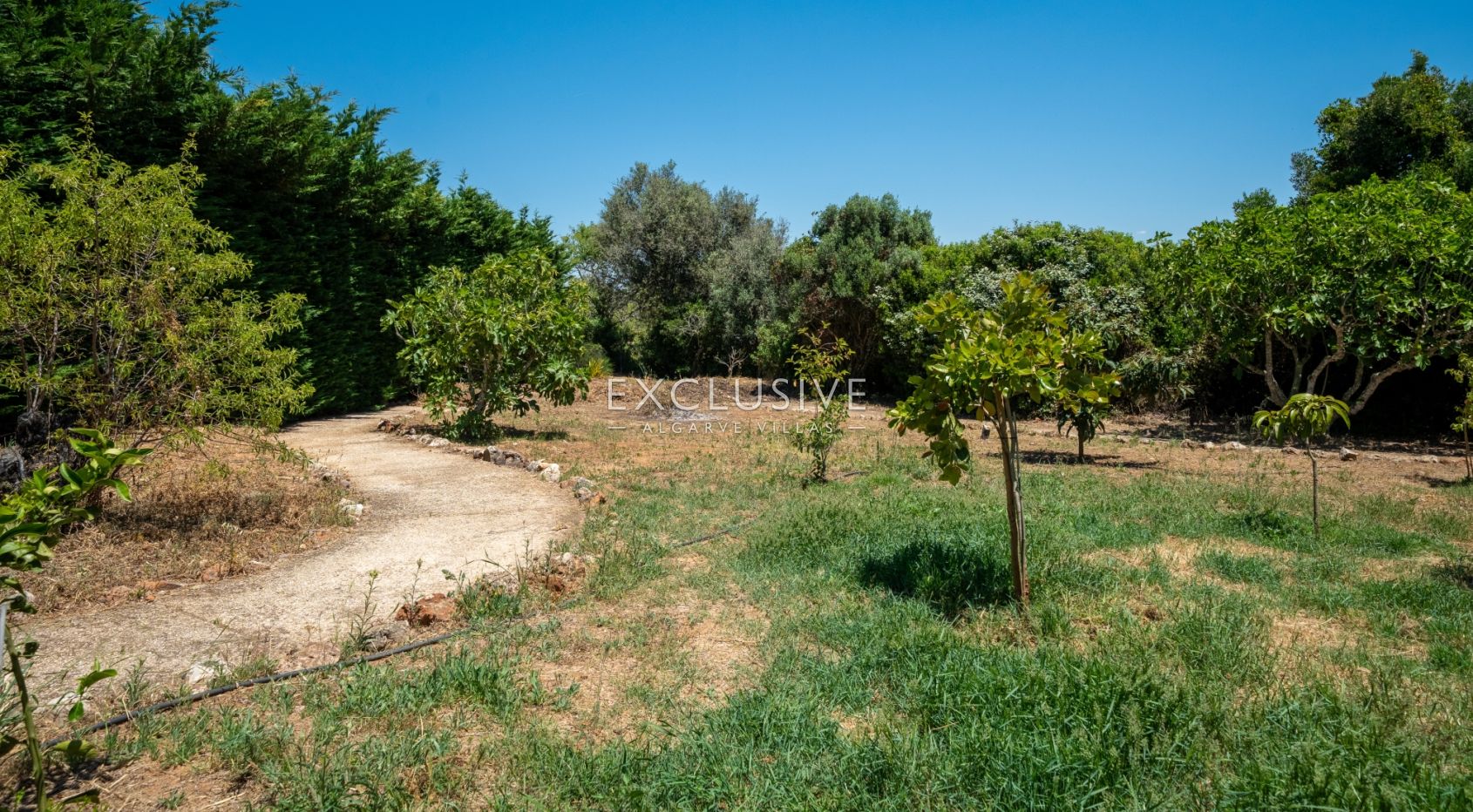 4+2 bedroom villa with pool on large plot in Carvoeiro