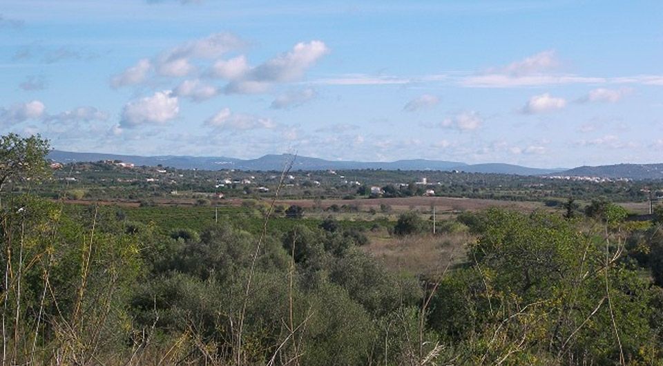 Plot with semi detached ruin near Pera, in Algarve