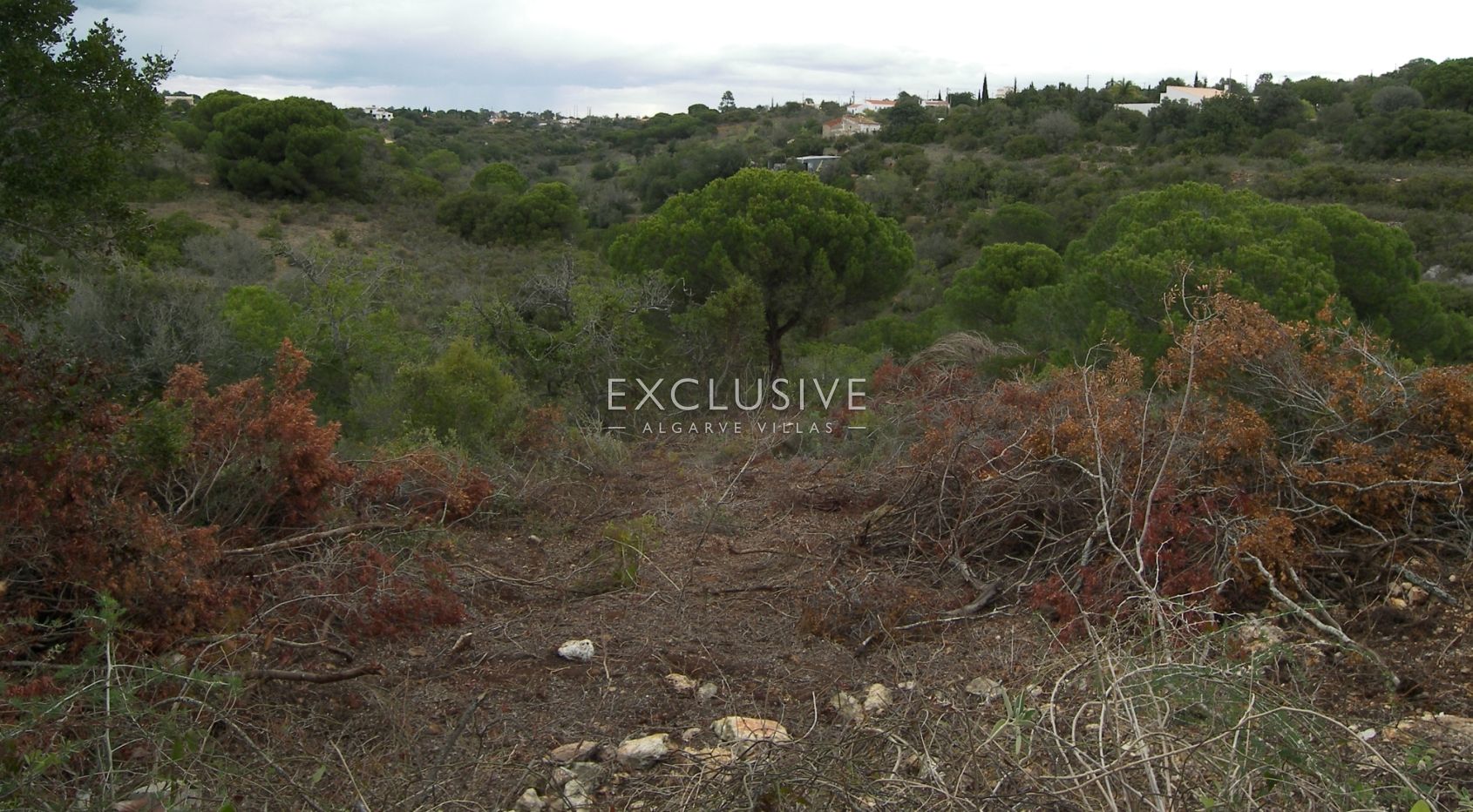 Plot with semi detached ruin near Pera, in Algarve