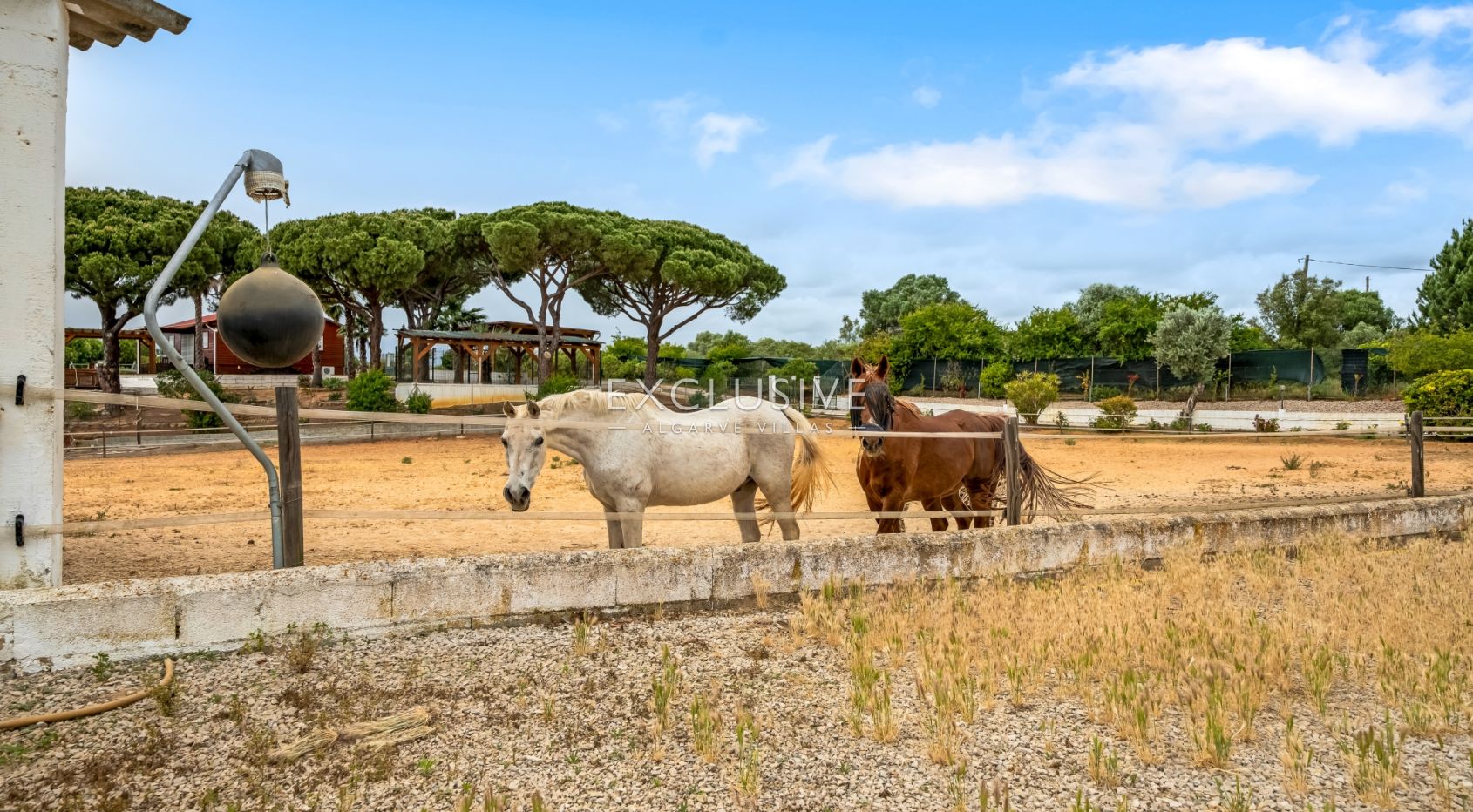 Buy a Country Estate with Stables and Riding Arena in Quarteira, Algarve