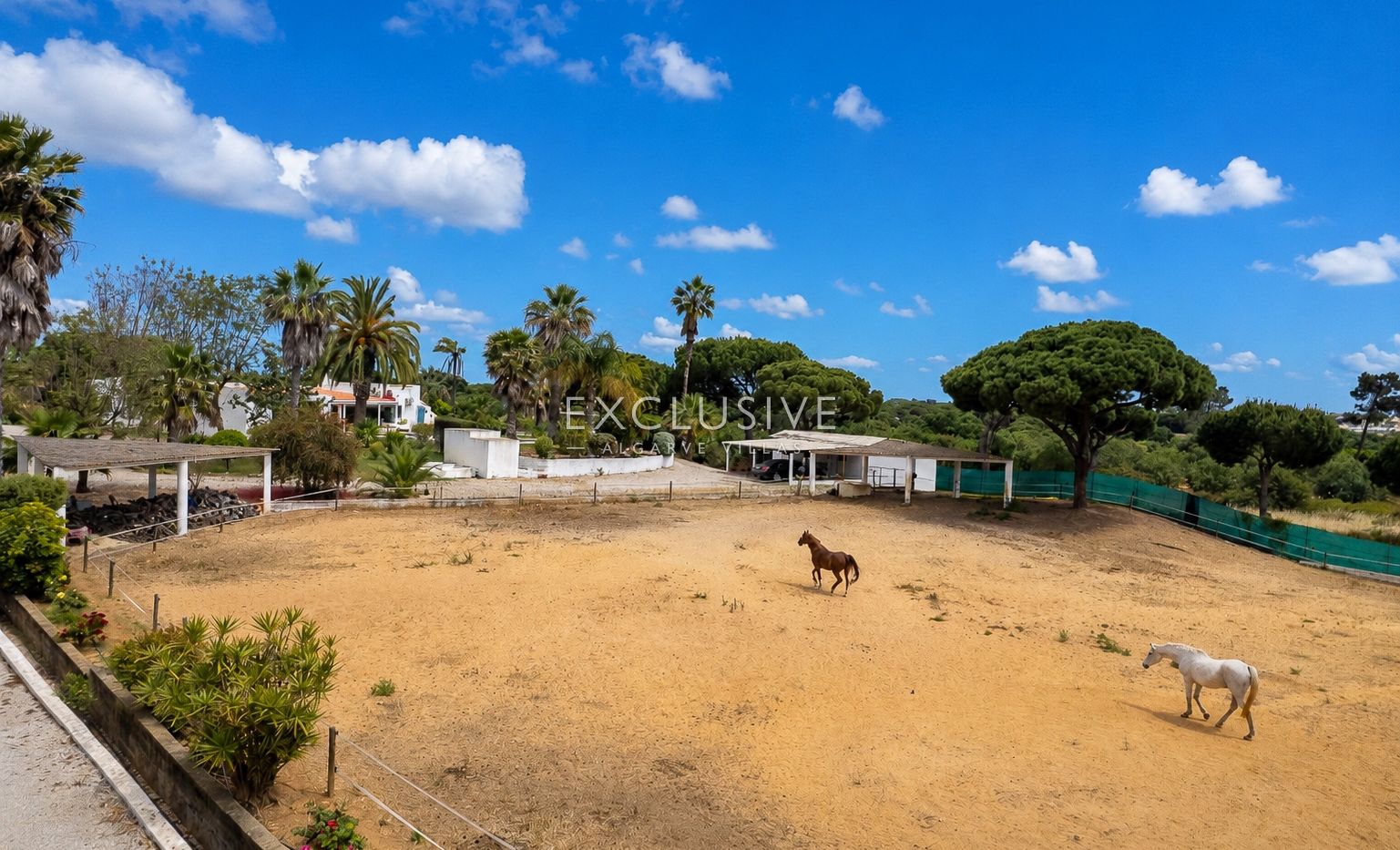Buy a Country Estate with Stables and Riding Arena in Quarteira, Algarve