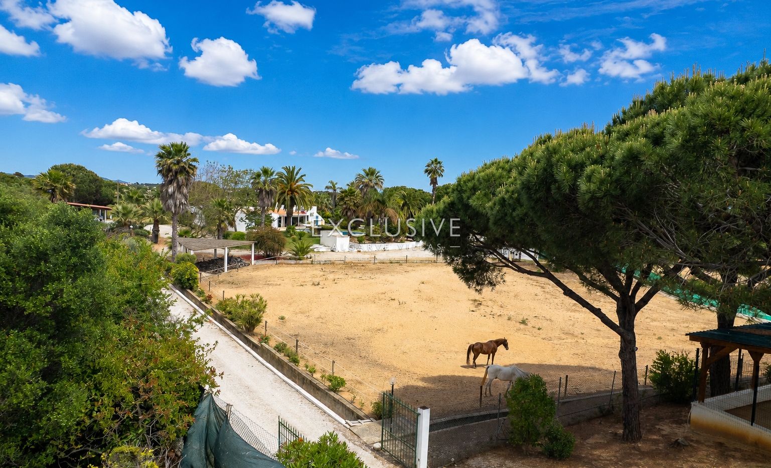 Buy a Country Estate with Stables and Riding Arena in Quarteira, Algarve
