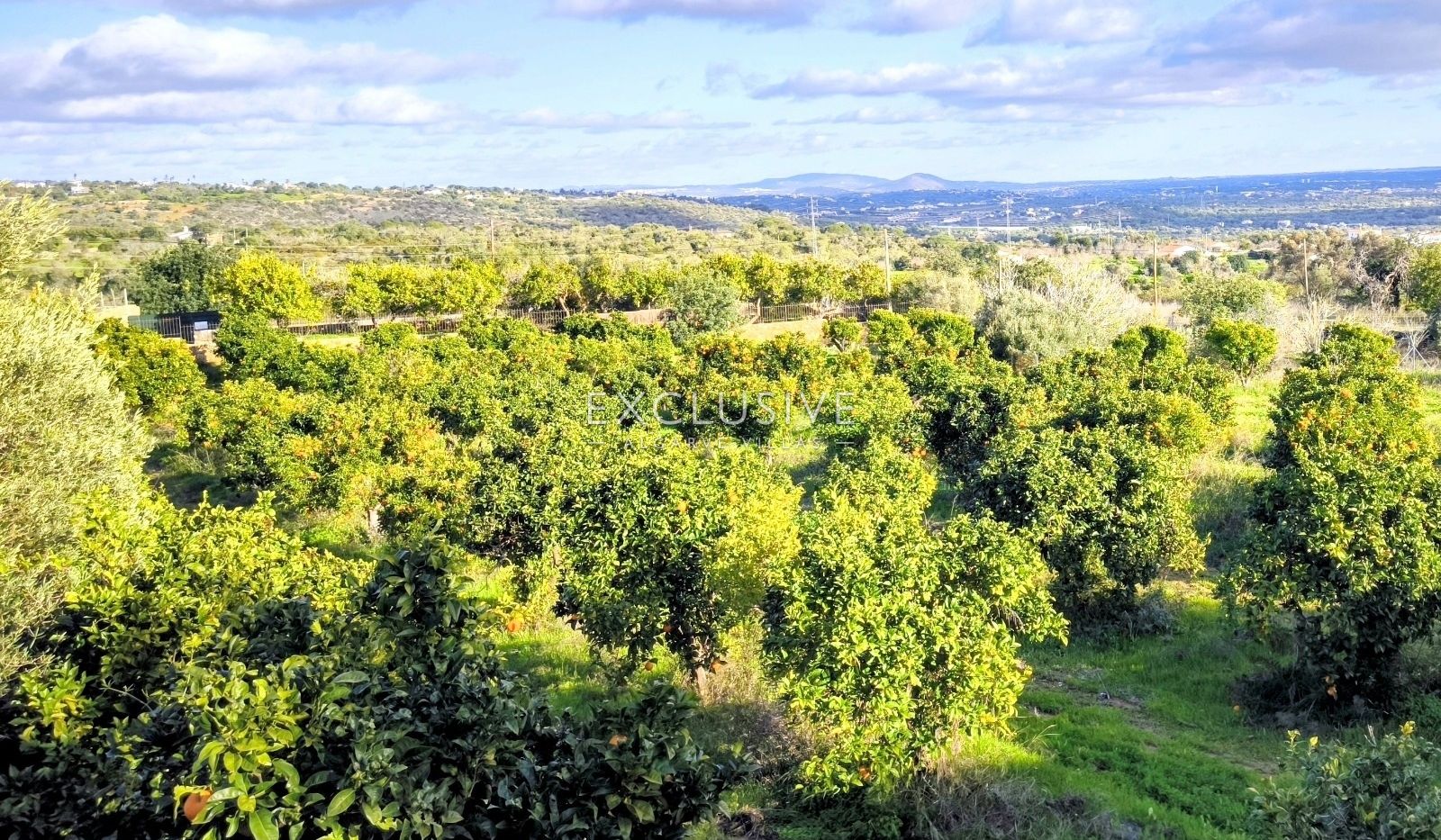 4 parcels of land with 2 Ruins, for construction of 2 properties with Seaviews Albufeira