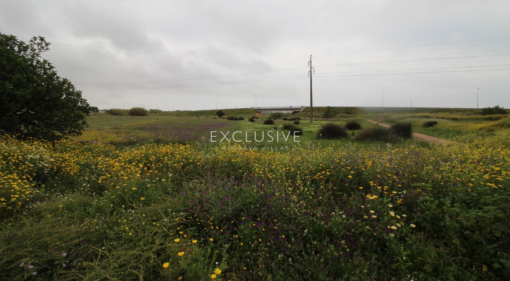 Plot with two ruins near Salgados Golf in Algarve near Praia Grande, near beach