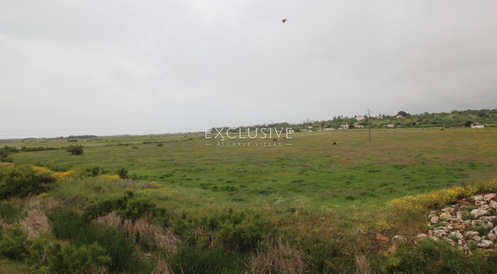 Plot with two ruins near Salgados Golf in Algarve near Praia Grande, near beach