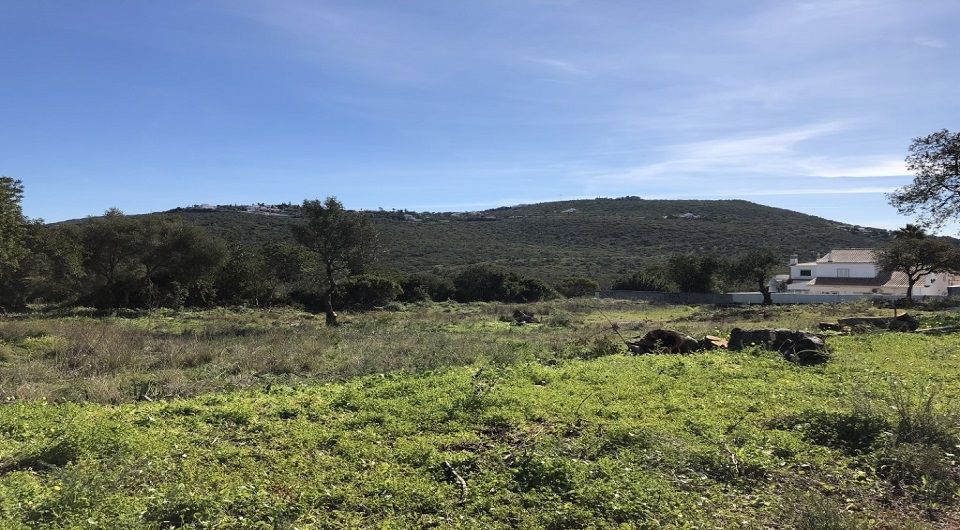 Large plot for construction in Loule near amenities