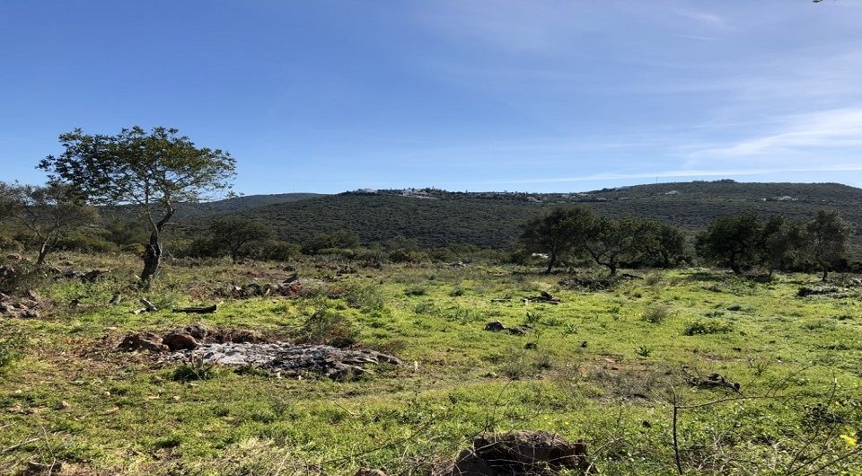 Large plot for construction in Loule near amenities