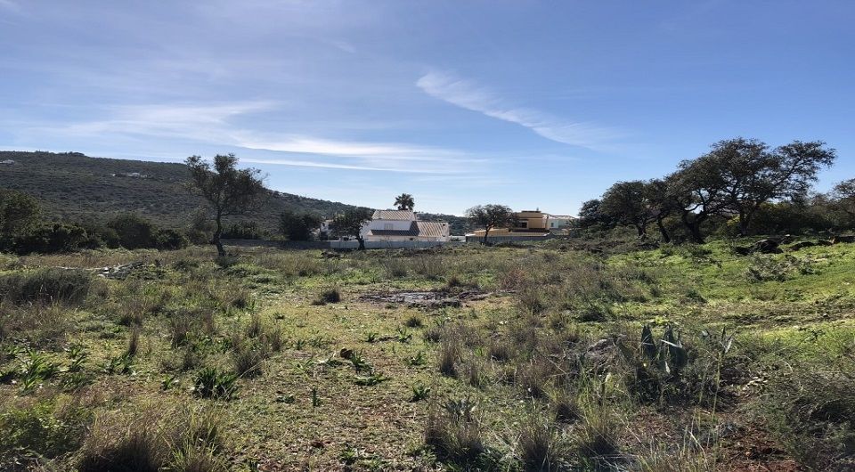 Large plot for construction in Loule near amenities