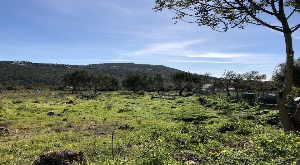 Large plot for construction in Loule near amenities