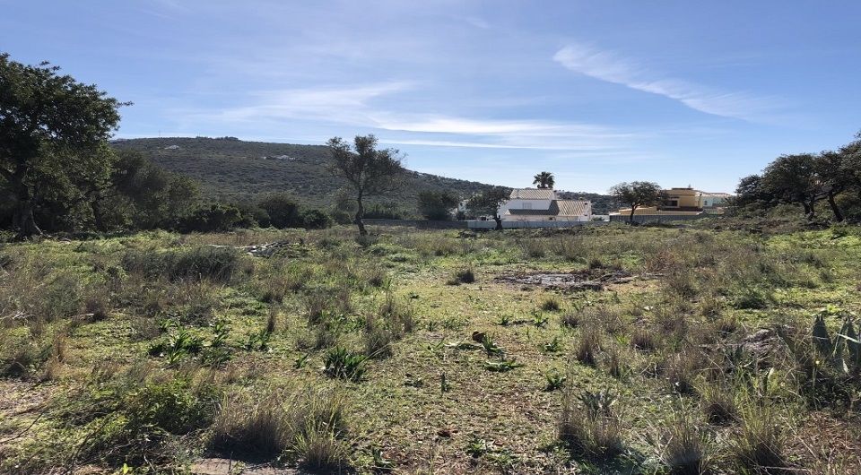 Large plot for construction in Loule near amenities