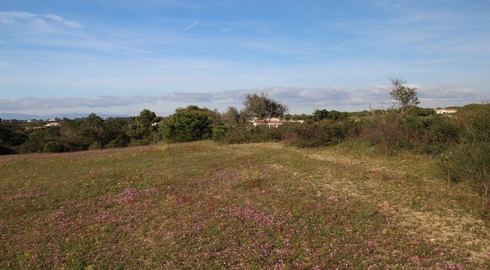 Plot near Caramujeira with ruin, Algarve-2